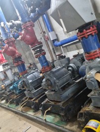 급수펌프75HP/베어링교체작업